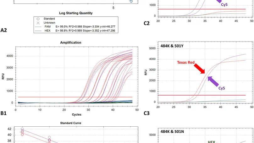 A one-step real-time RT-PCR assay for simultaneous typing of SARS-CoV-2 mutations associated with the E484K and N501Y spike protein amino-acid substitutions