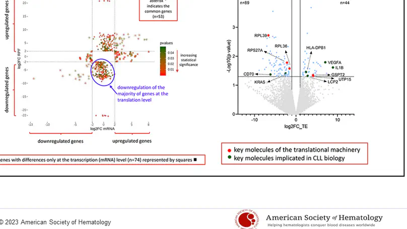 RPS15 mutations rewire RNA translation in chronic lymphocytic leukemia